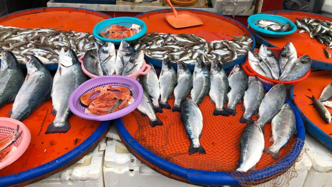 Trabzon'da balık kafesi yırtıldı somonlar Rize'de tezgahlarda yarı fiyatına satılıyor