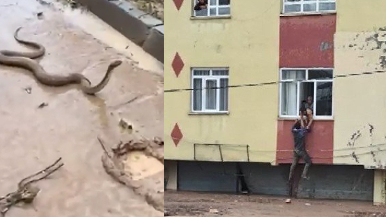 Şanlıurfa ve Adıyaman'ı sel vurdu gelen görüntülere bakın! Şehre inen yılan şaşkına çevirdi