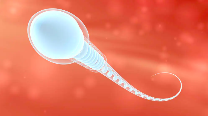 Sperm sağma makinesi ülkeyi karıştırdı! Gerçek çok başka çıktı