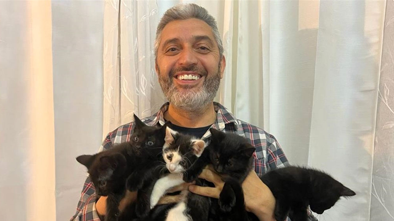 ABD’de kedi sevdalısı Türk'ün kedi yavrularını verme şartı duygulandırdı