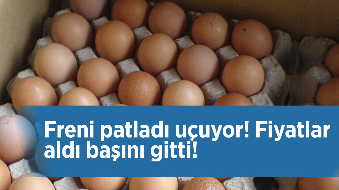 Yumurta fiyatları liste güncelleniyor 30'lu koli alan artık zengin sayılır