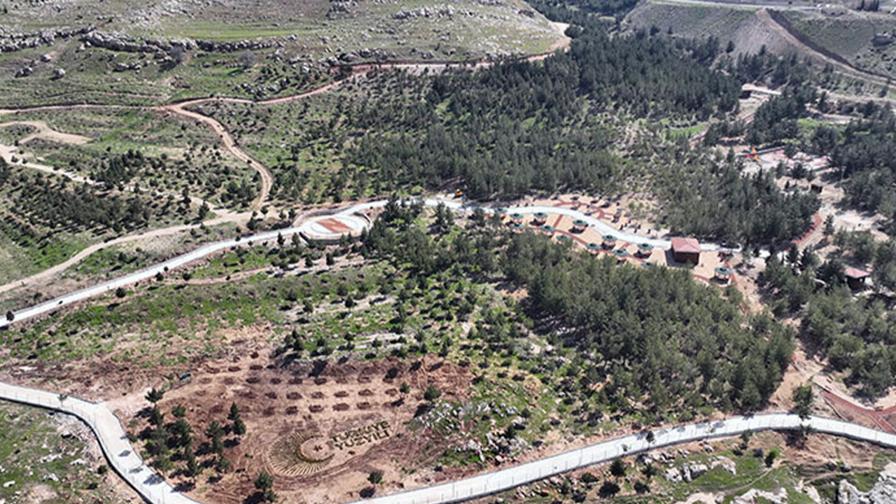 Mardin'de kurulan "millet ormanı"nın birinci etabı tamamlandı