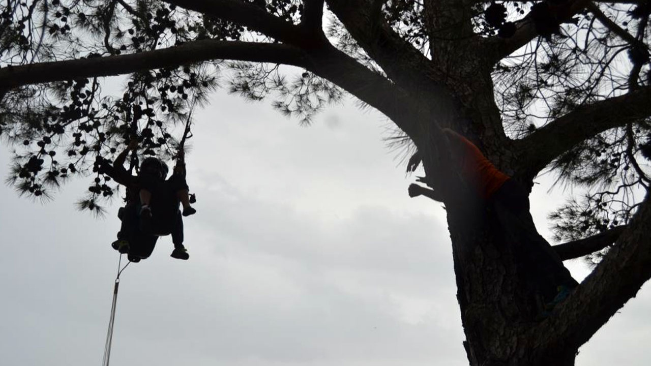 Fethiye'de kurtarma ekipleri ağaçlardan paraşütçü topluyor