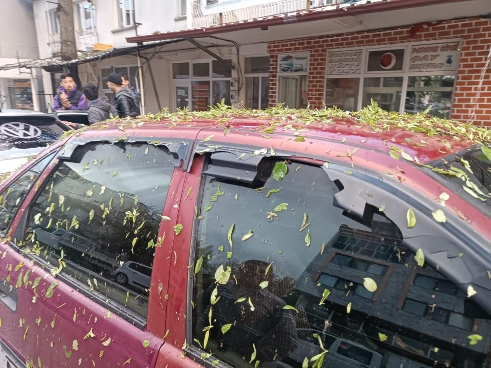 Denizli'yi dolu yağışı vurdu: Ceviz büyüklüğünde 15 dakika yağdı, milyonluk hasara yol açtı!