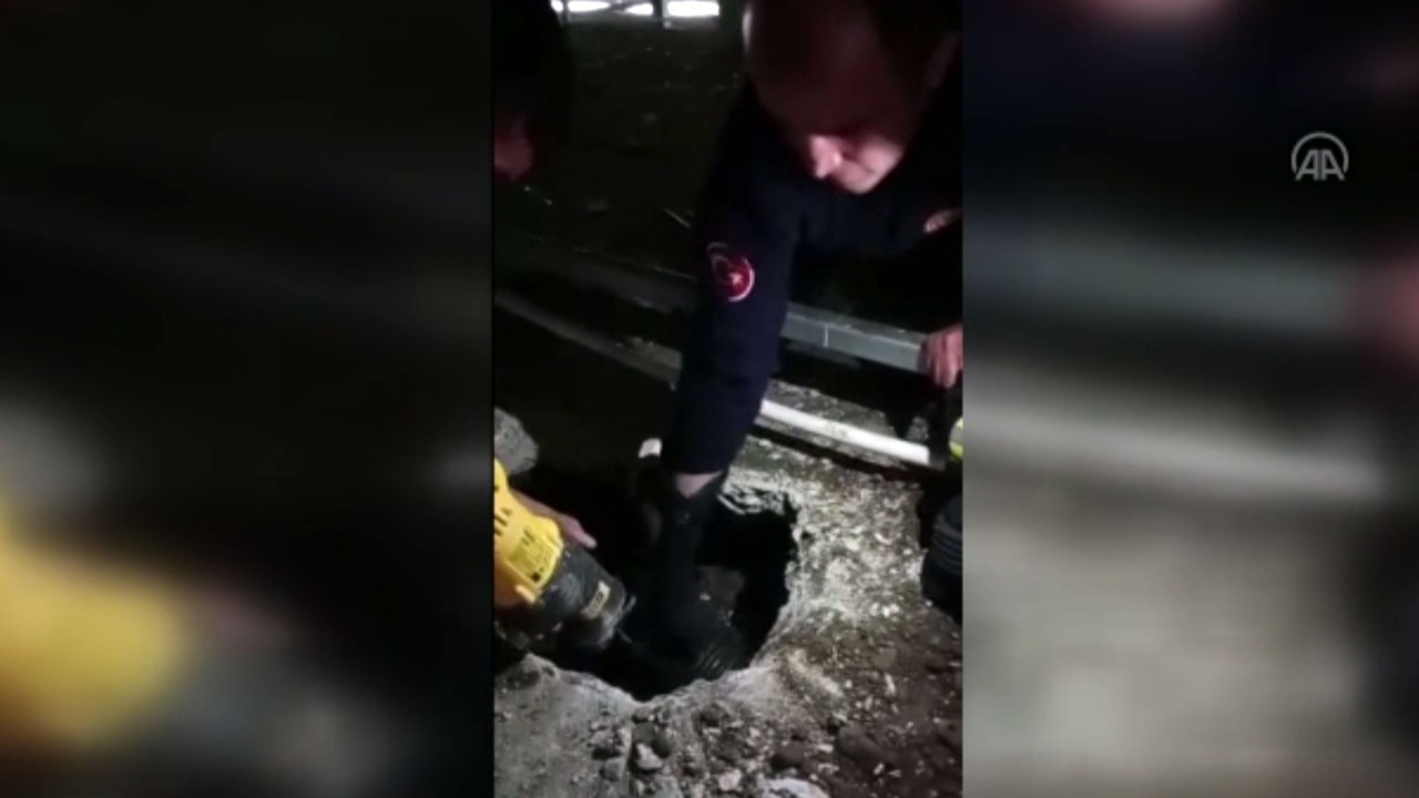 Erzurum'da boruda sıkışan yavru köpek böyle kurtarıldı