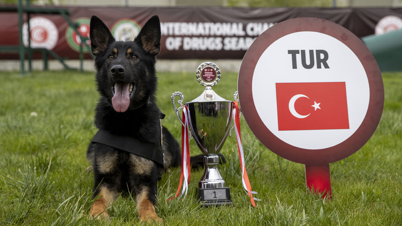 Uluslararası Narkotik Dedektör Köpekler Yarışması’nda 'Nobel' birinci oldu