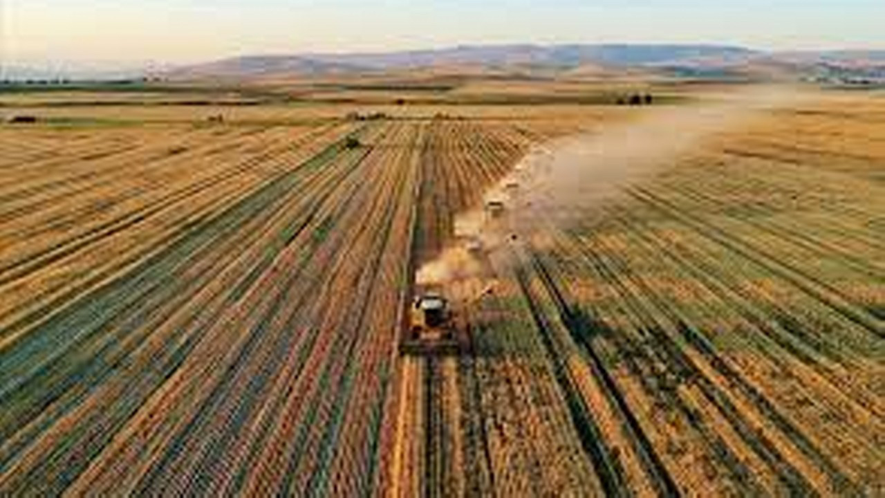 Tarım ÜFE nisanda aylık bazda yüzde 2,32 azalırken yıllık yüzde 71,52 arttı