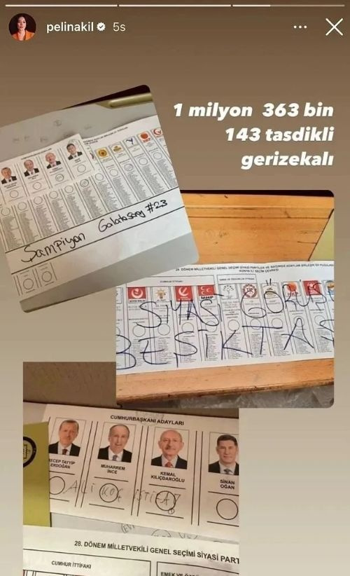 Pelin Akil geçersiz oy kullananlara ateş püskürdü! "1 milyon 363 bin 143 tasdikli gerizekalı"