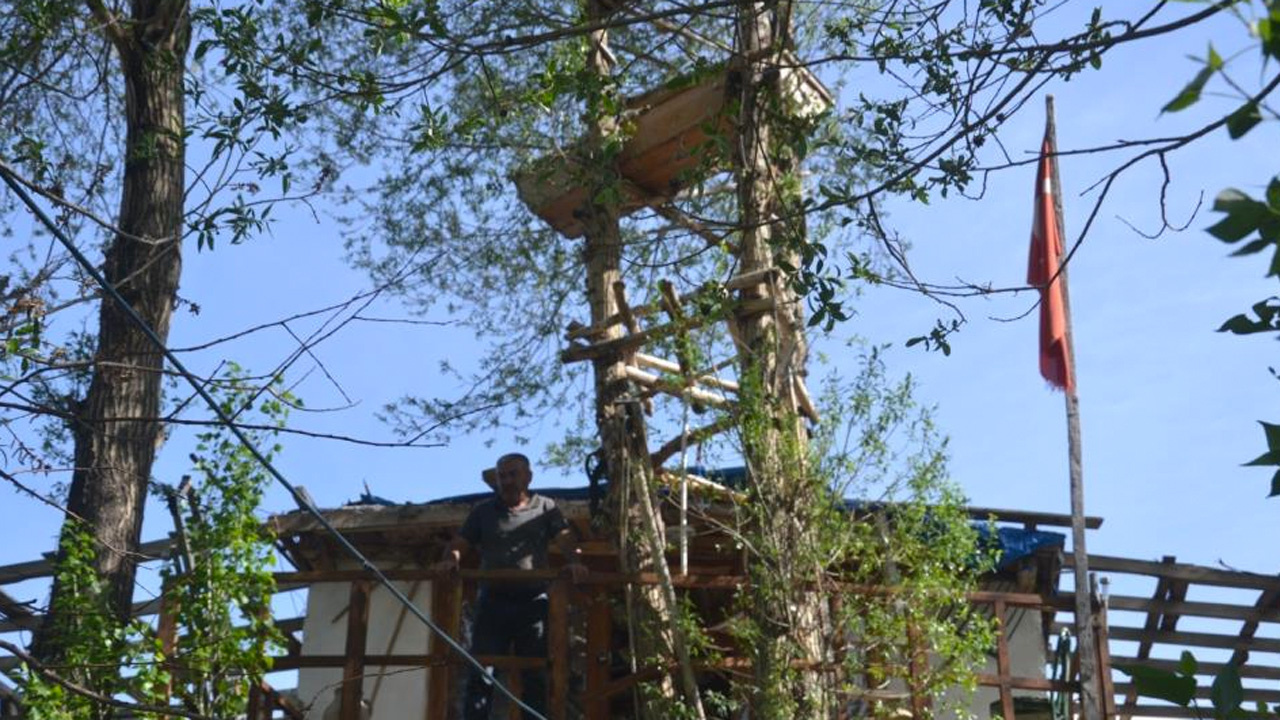 Sivas Şarkışla'da ağaç dalında asılı tabutu görenler şaşkına dönüyor