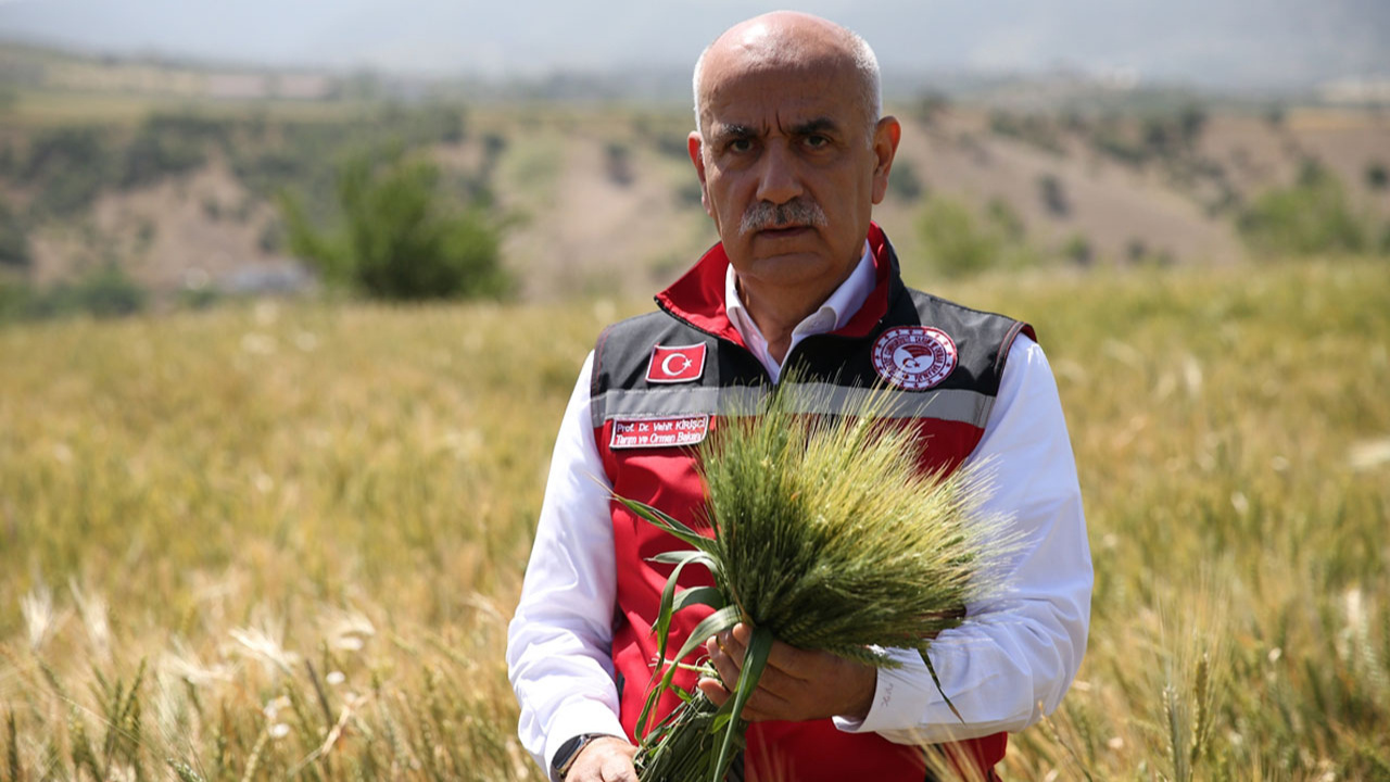 Tarım Bakanı Vahit Kirişci'den buğday müjdesi! Türkiye'nin bütün ihtiyacı karşılanıyor!