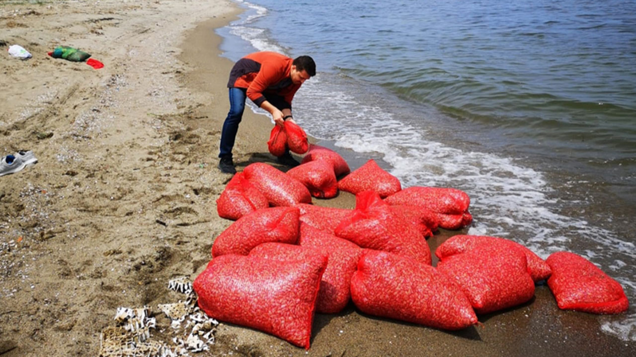 Bursa'da avlanması yasak yüzlerce kilo kum şırlanı ele geçirildi