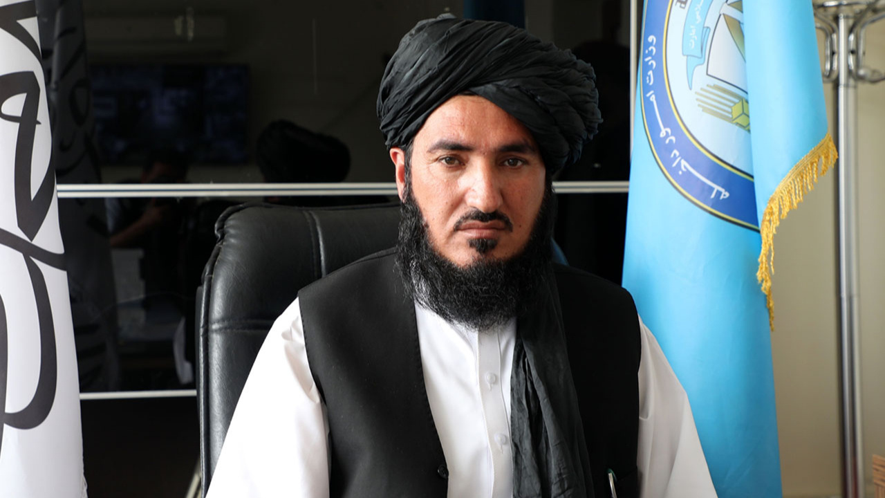 Taliban: Afganistan'da 4 bin hektar haşhaş tarlası yok edildi