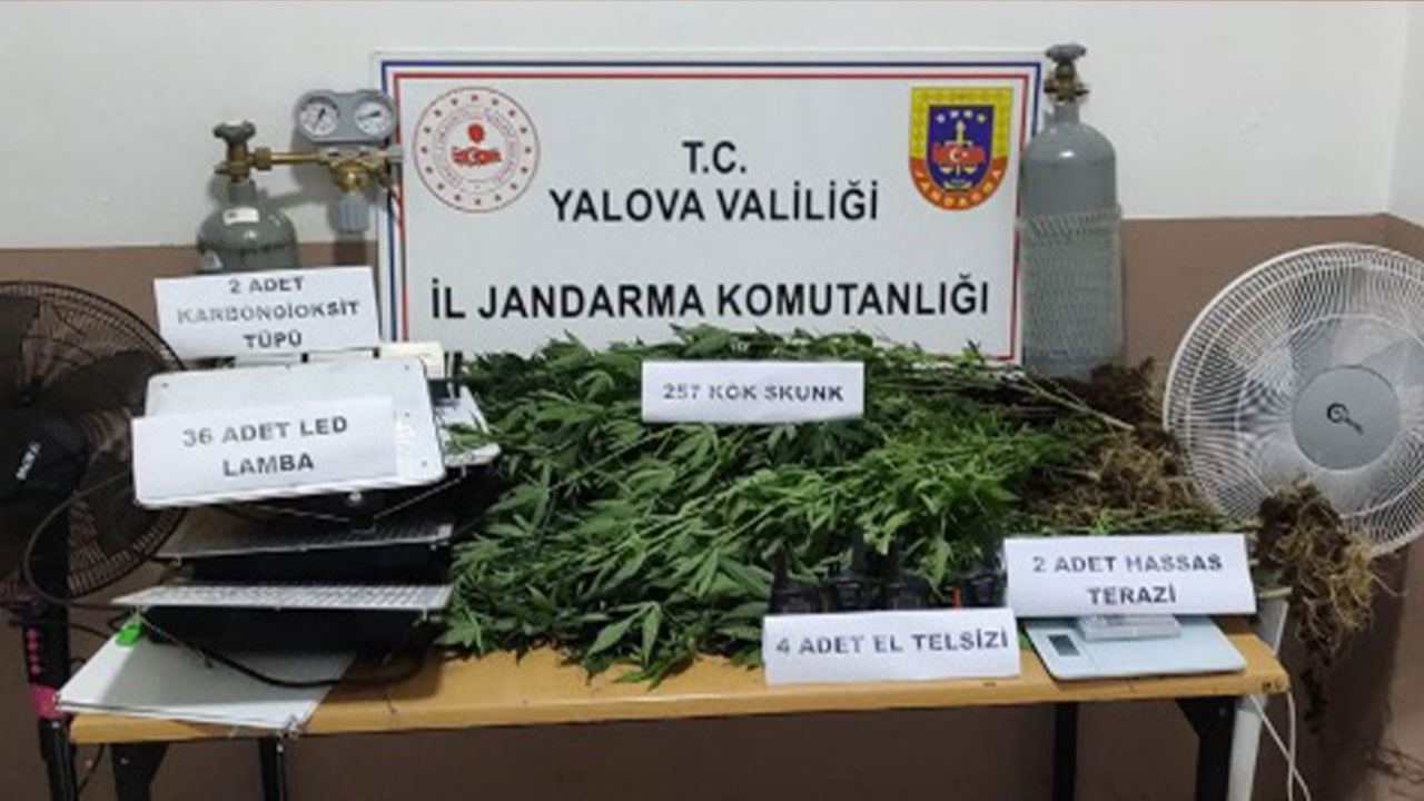 Yalova'da evin bodrumunda uyuşturucu üreten 2 kişi tutuklandı!