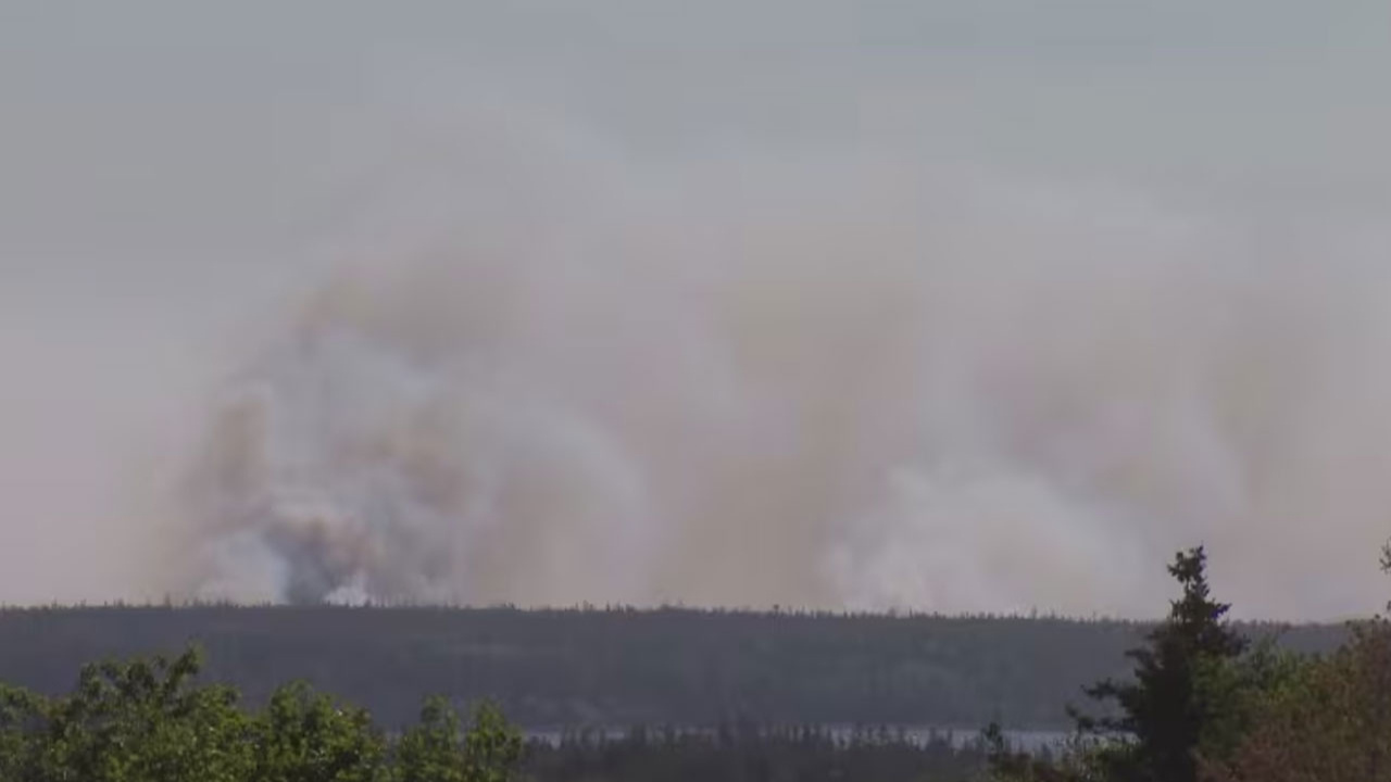 Kanada'da orman yangınlarında 3 milyon hektarlık alan zarar gördü