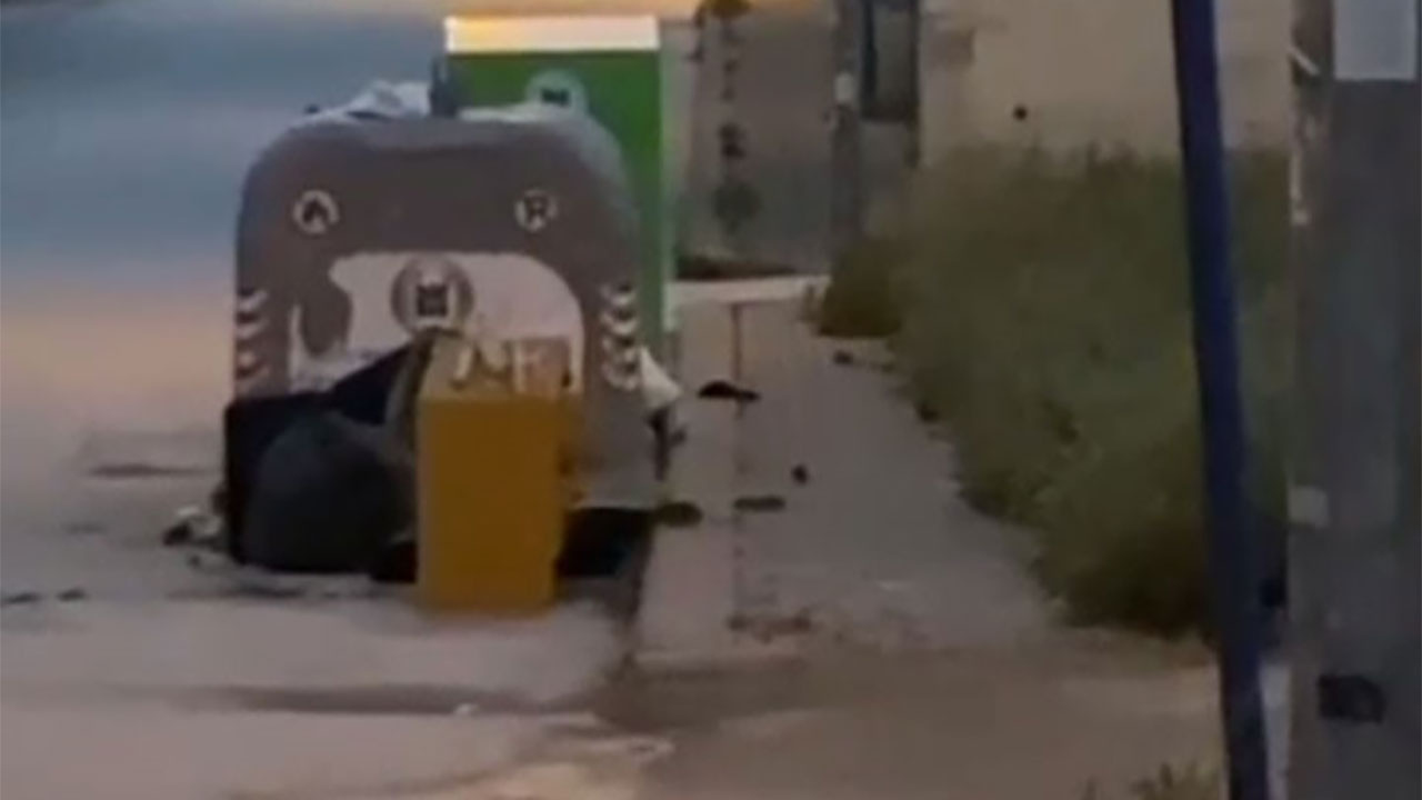 Ankara’da aşırı yağış sebebiyle fareler caddeleri bastı