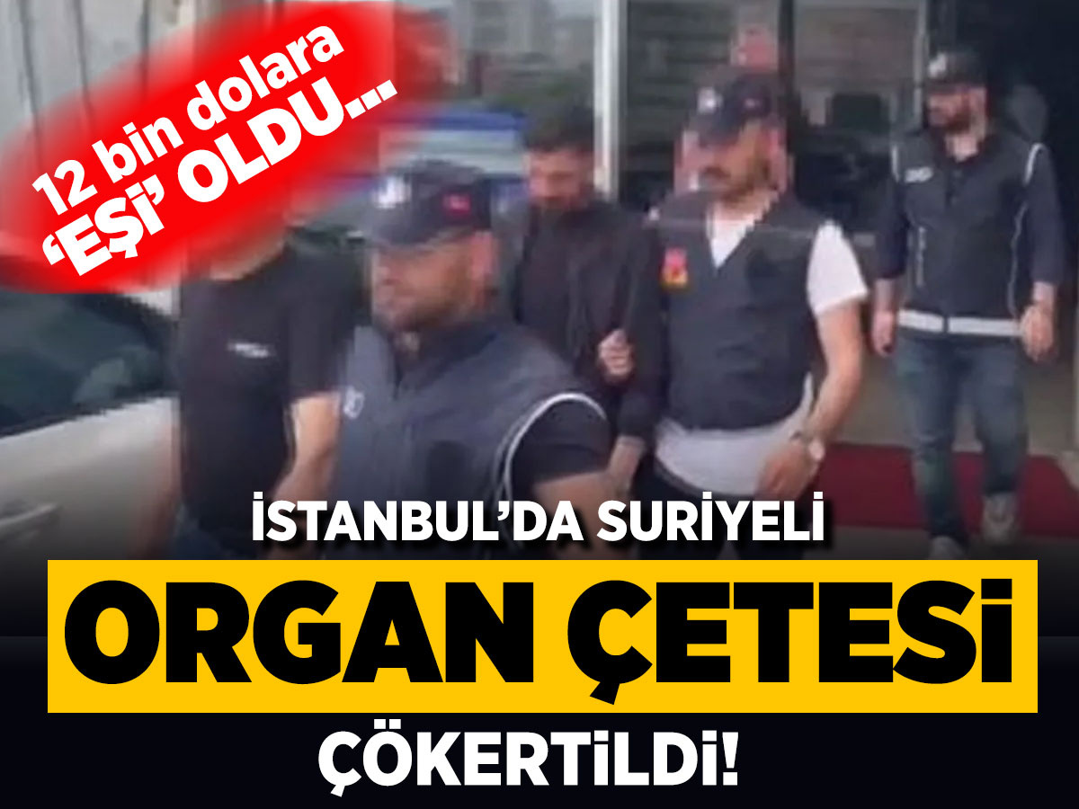 İstanbul’da Suriyeli organ şebekesi çökertildi