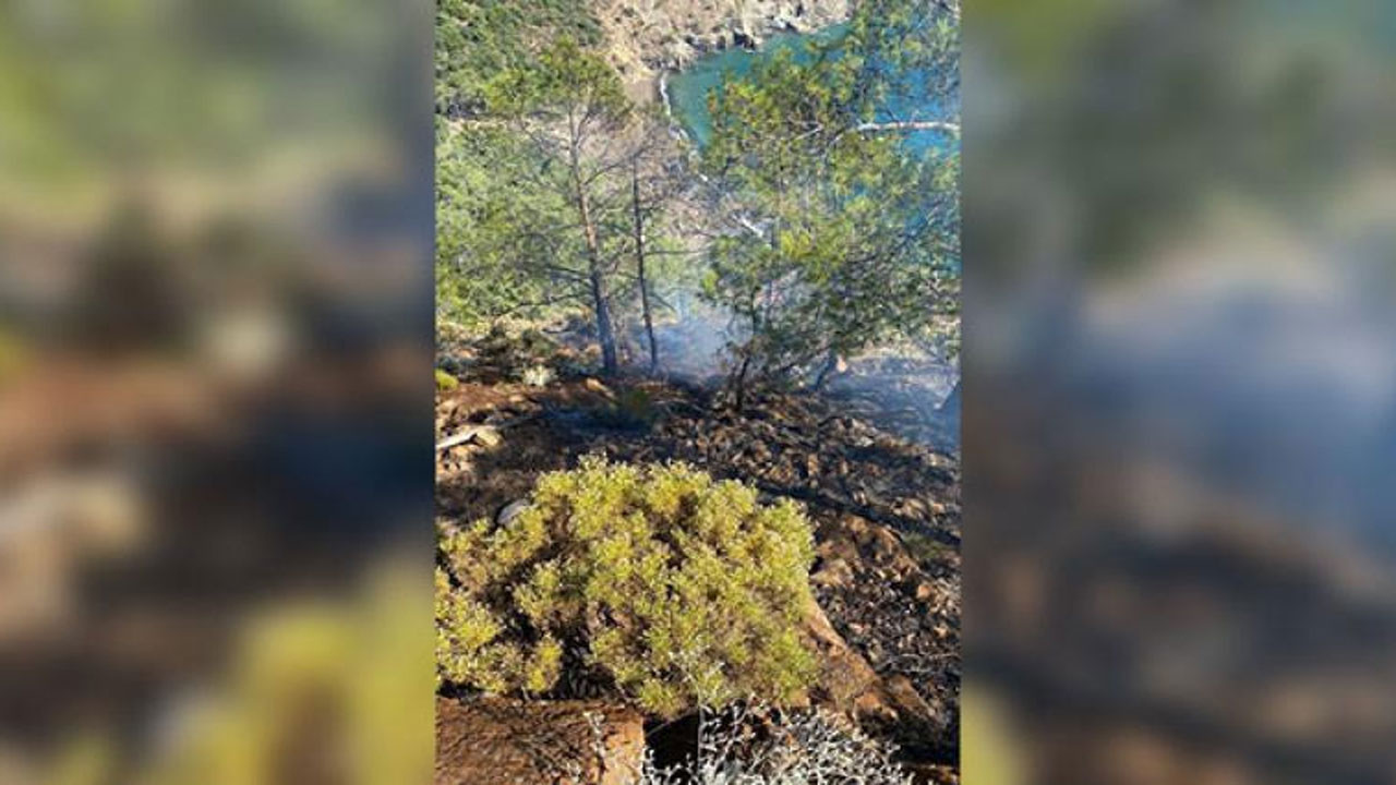 Fethiye'de yıldırım düşen ormanlık alanda yangın