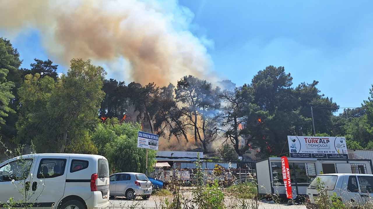 Antalya'da korkutan orman yangını! Rüzgarın etkisiyle büyüdü, ekipler müdahale ediyor