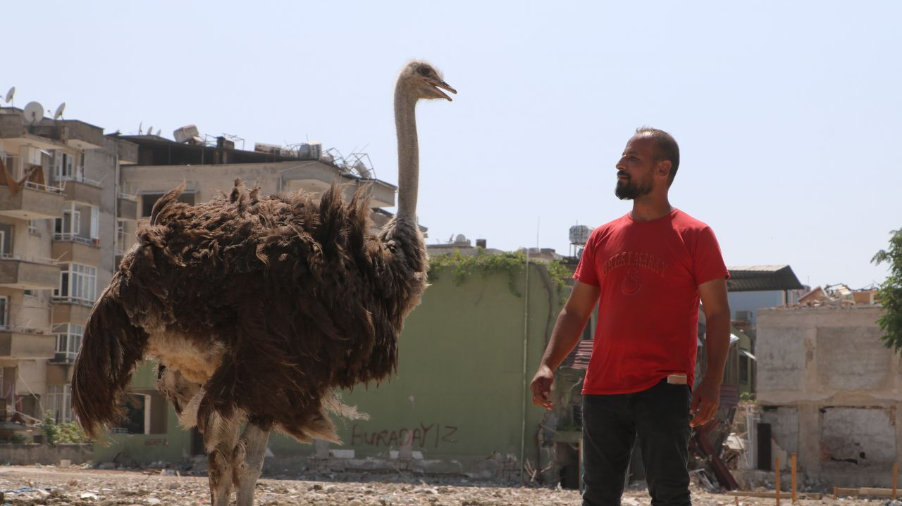 Hatay'da başta kimse nereden geldiklerini anlayamadı, 'Suriyeliler getirdi' diyen bile oldu