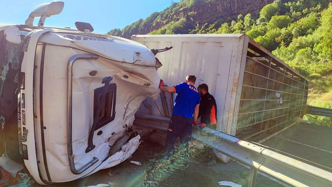 Bitlis'te hayvan yüklü tır devrildi: 1 kişi öldü, 1 kişi yaralandı!