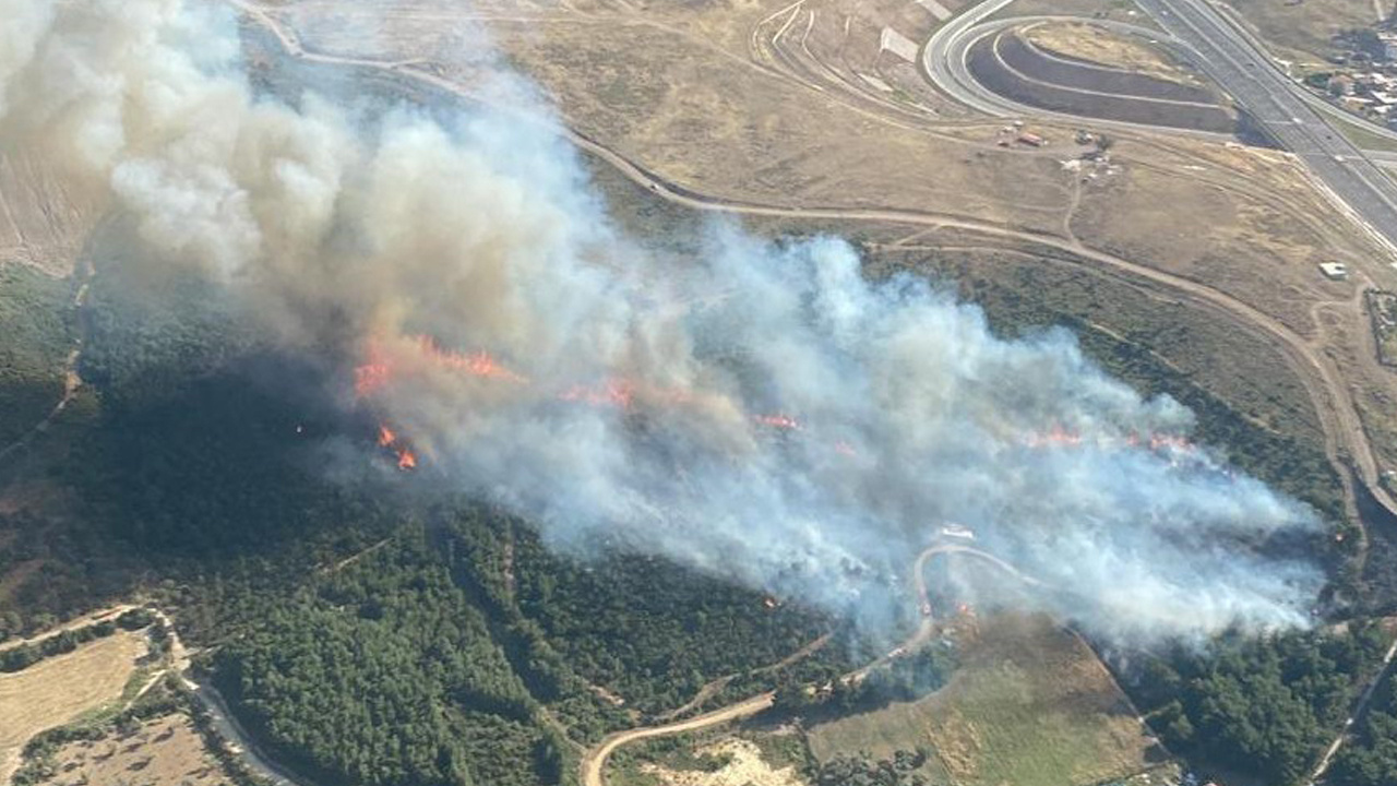 İzmir'de korkutan orman yangını! Havadan ve karadan müdahale edildi, kontrol altına alındı!