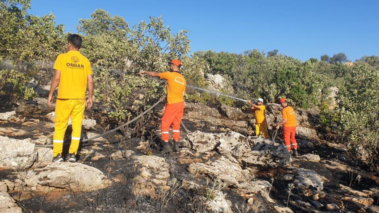 Diyarbakır'da iki ayrı anız yangını ormanlık alana sıçradı
