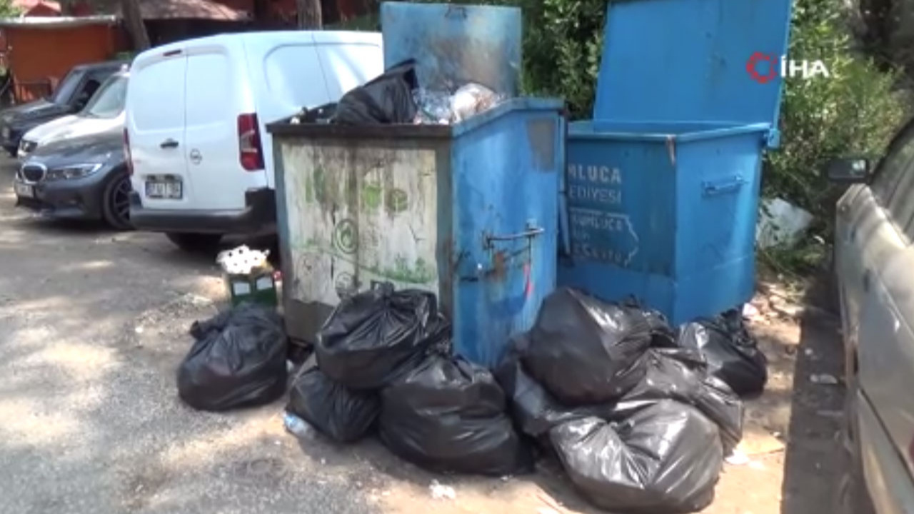 Olympos ve Adrasan'da günde 6 kamyon çöp toplanıyor!