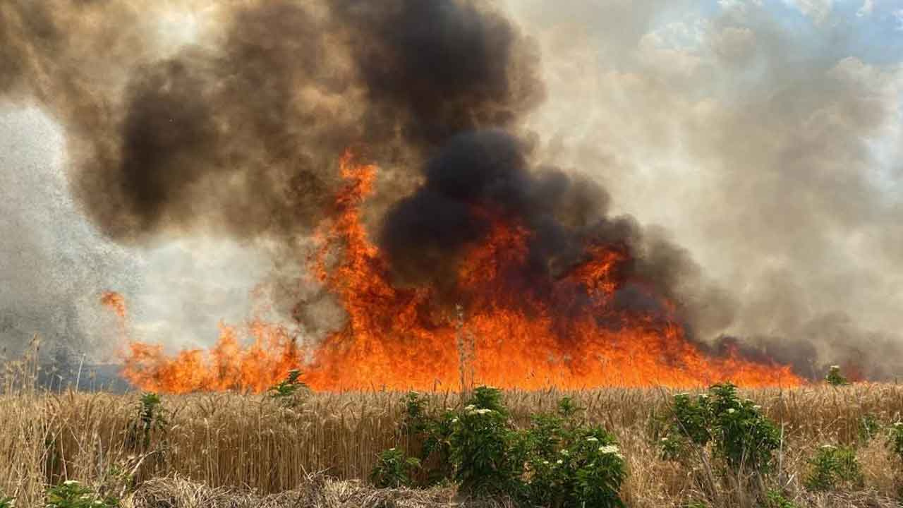 47 dönüm buğday tarlası 10 dakikada cayır cayır yandı