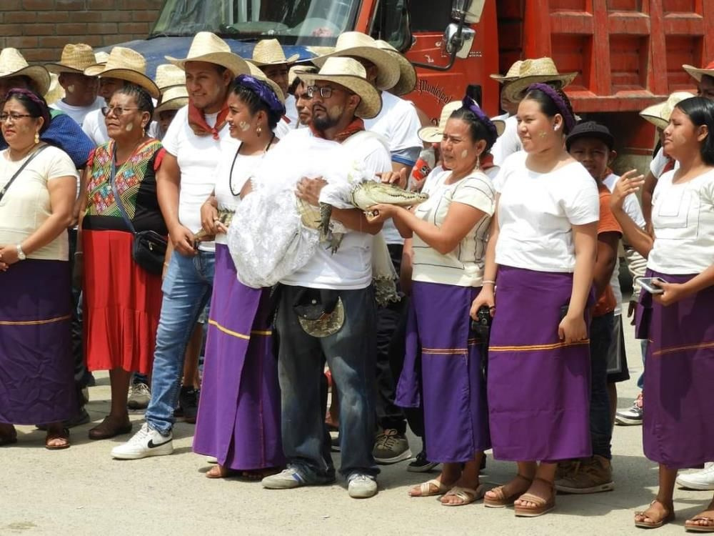 Meksika'da sıra dışı gelenek! Belediye başkanı timsahla evlendi, gelinlik giydirdi, dans etti