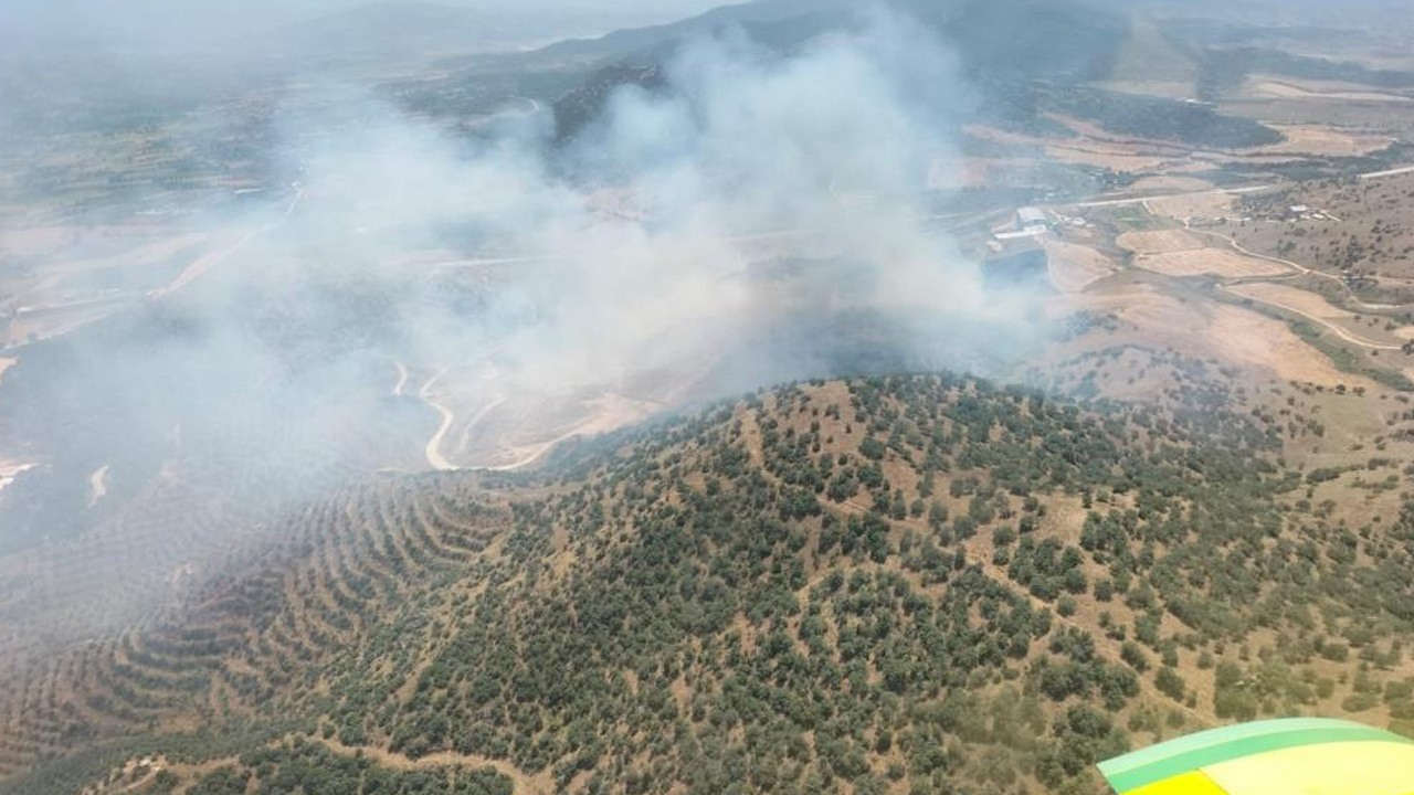 İzmir'de tarlada başlayan yangın ormana sıçradı ekipler seferber oldu