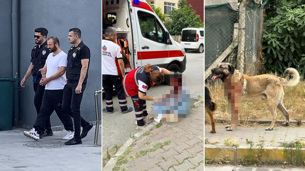 Ataşehir'de köpek kadının kafasını parçaladı yolan geçenler zor ayırdı sahibi gözaltına alındı