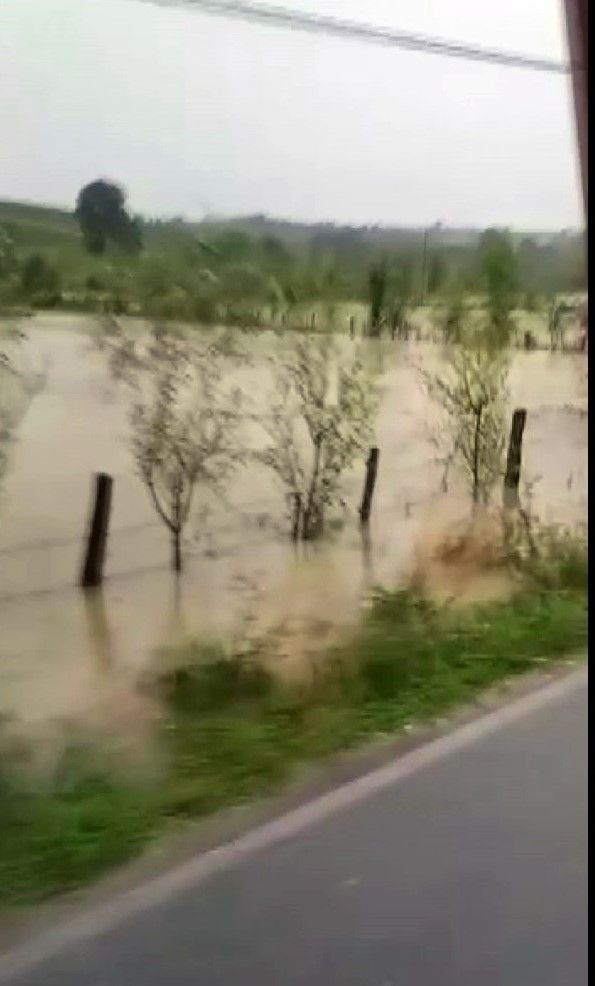 Meteoroloji uyarmıştı: Sakarya'yı sağanak yağış vurdu: Bazı bölgeleri su bastı!
