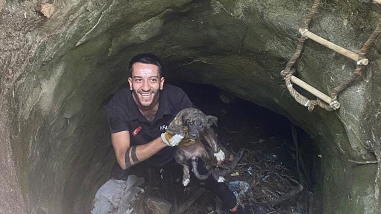 Diyarbakır'da kuyuya düşen köpeği itfaiye ekibi kurtardı