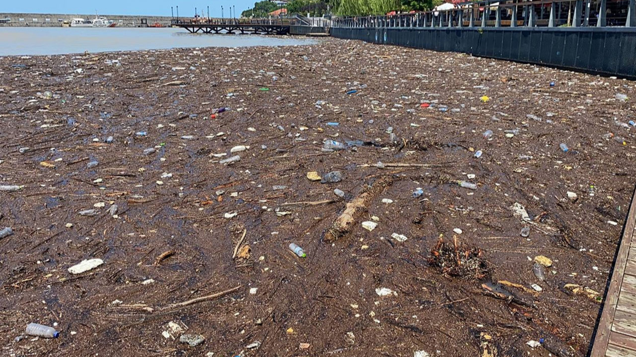 Zonguldak'ta denize sürüklenen atıklar limanda kirliliğe yol açtı!
