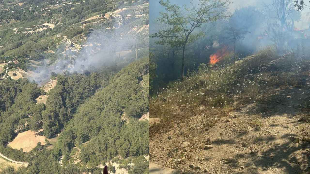 Adana'da ikinci orman yangını: Ekipler müdahaleye başladı