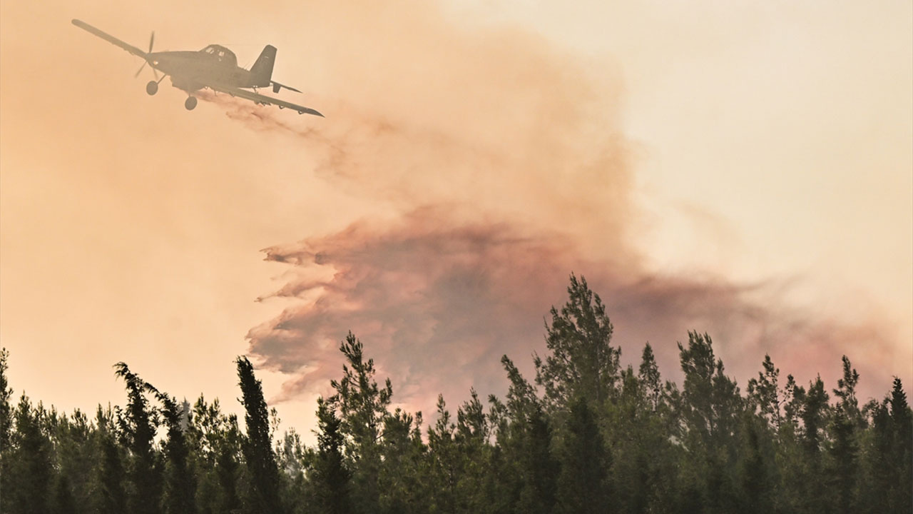 İzmir'deki orman yangını 11 saatte kontrol altına alındı! Biri ağır 12 ormancı yaralandı