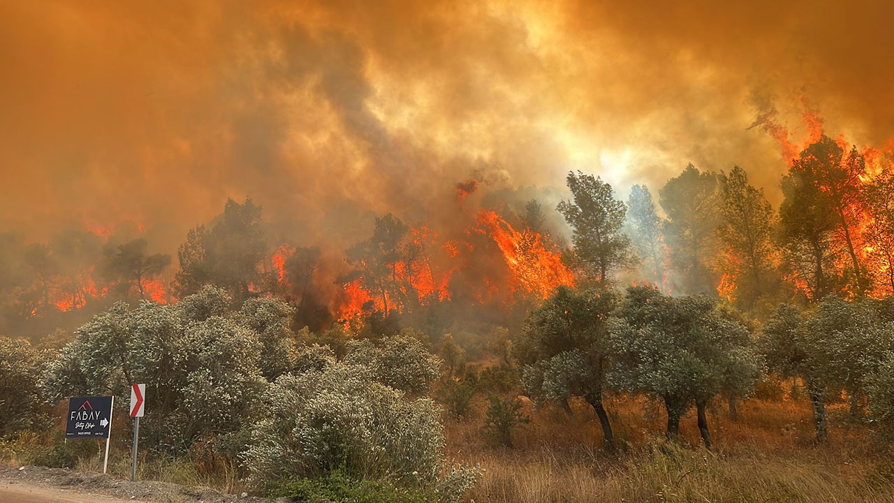 Antalya, Muğla'da ve Adana'da ormanlar yanıyor! Mahalle boşaltıldı araç giriş çıkışı yasaklandı