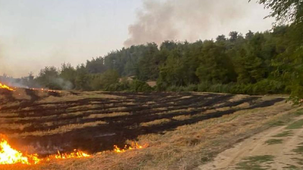 Adana'nın İmamoğlu ilçesinde çıkan orman yangını kontrol altına alındı
