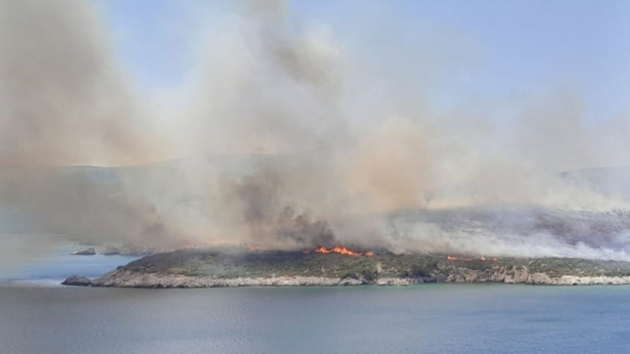 İzmir'de makilik alanda yangın çıktı!
