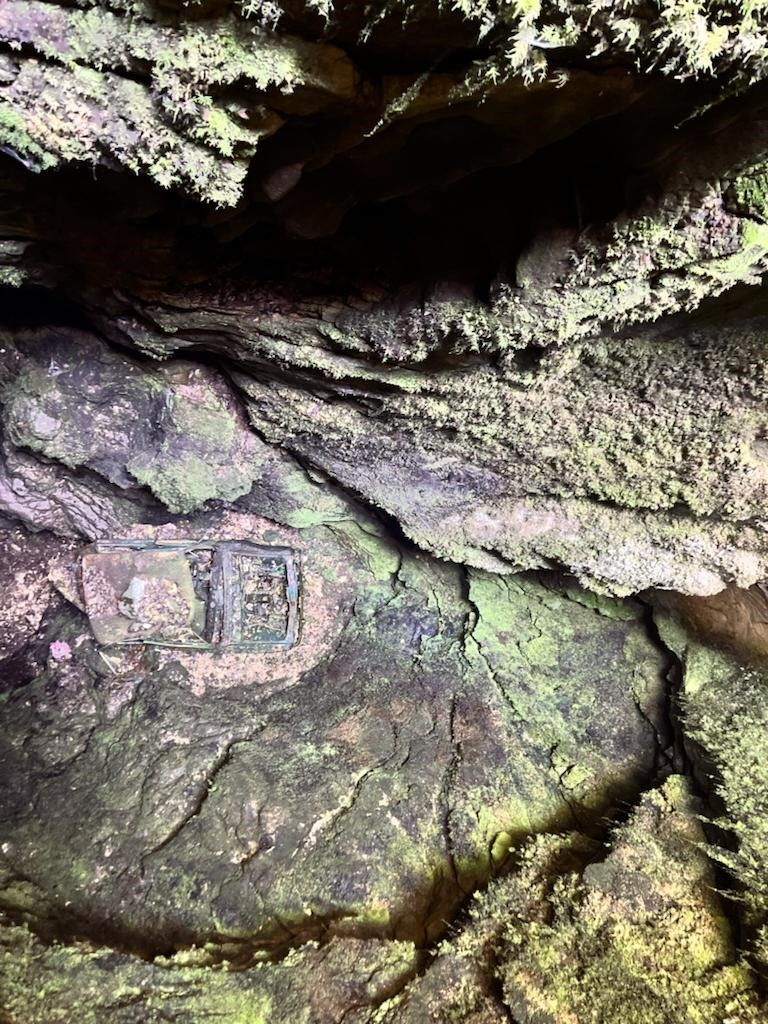 Antalya'da 50 metre derindeki mağaradan Murat 124 çıktı