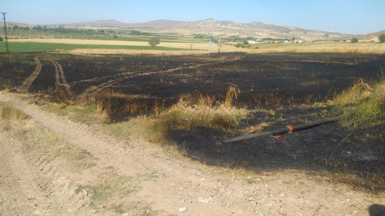 Sivas’ta tarla yangınında 50 dönüm ekili alan kül oldu!