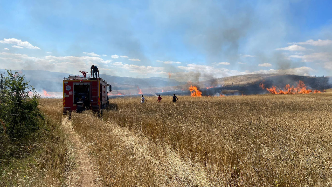 Tokat'ta yangın sonucu 20 dönüm buğday ekili alan zarar gördü!