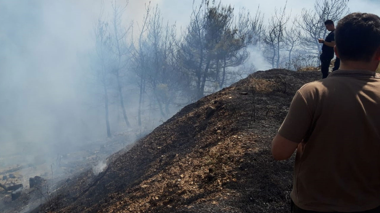 İzmir'in iki ilçesinde ve Hatay'da orman yangını çıktı! Helikopterler, uçaklar bölgeye gönderildi