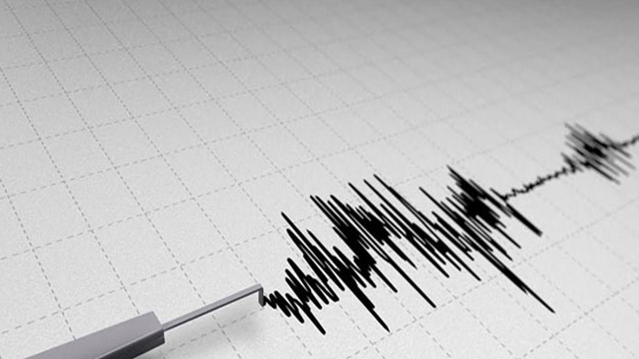 Sabaha karşı sallandı panik yaşandı! AFAD'dan deprem açıklaması