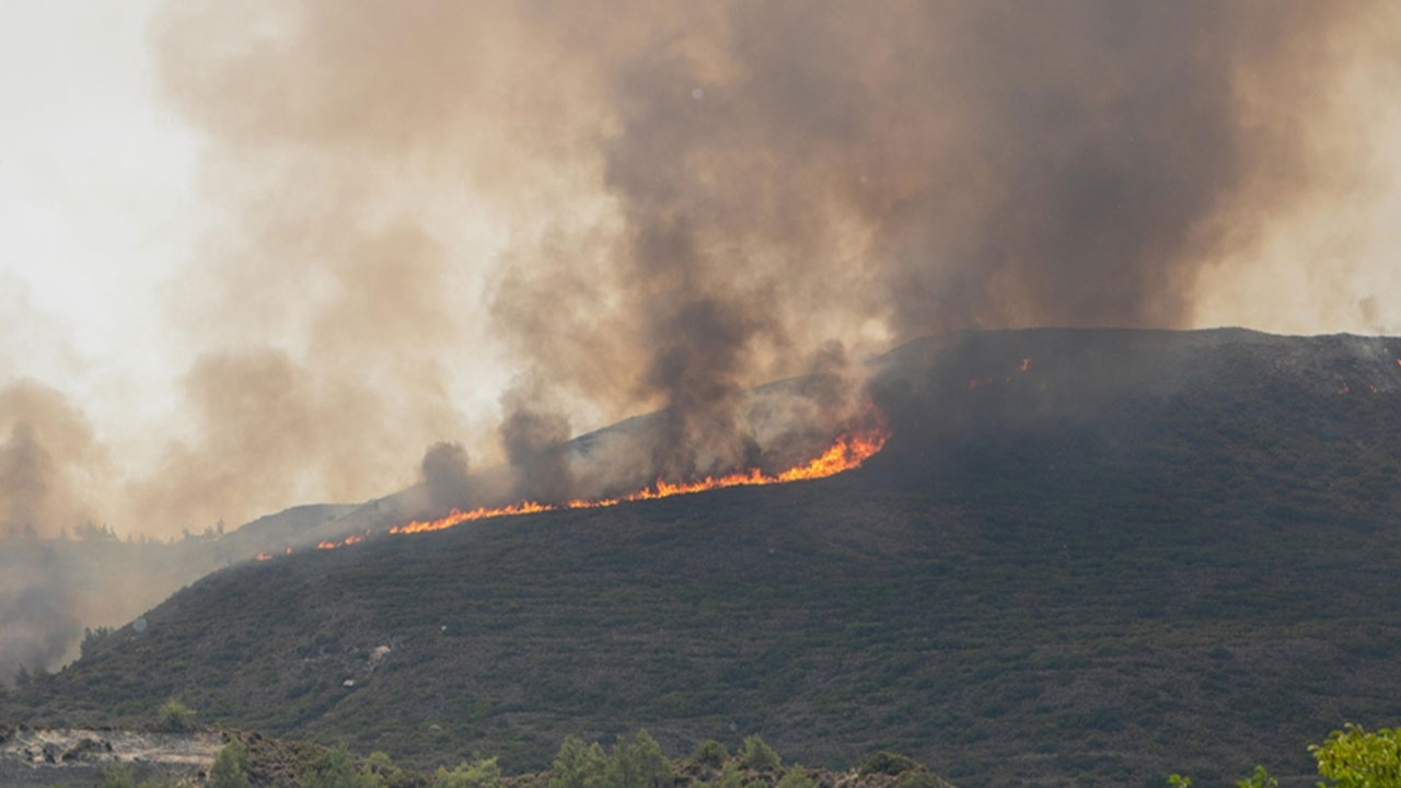 Yunanistan’daki orman yangınları rekor seviyede karbon emisyonuna yol açtı!