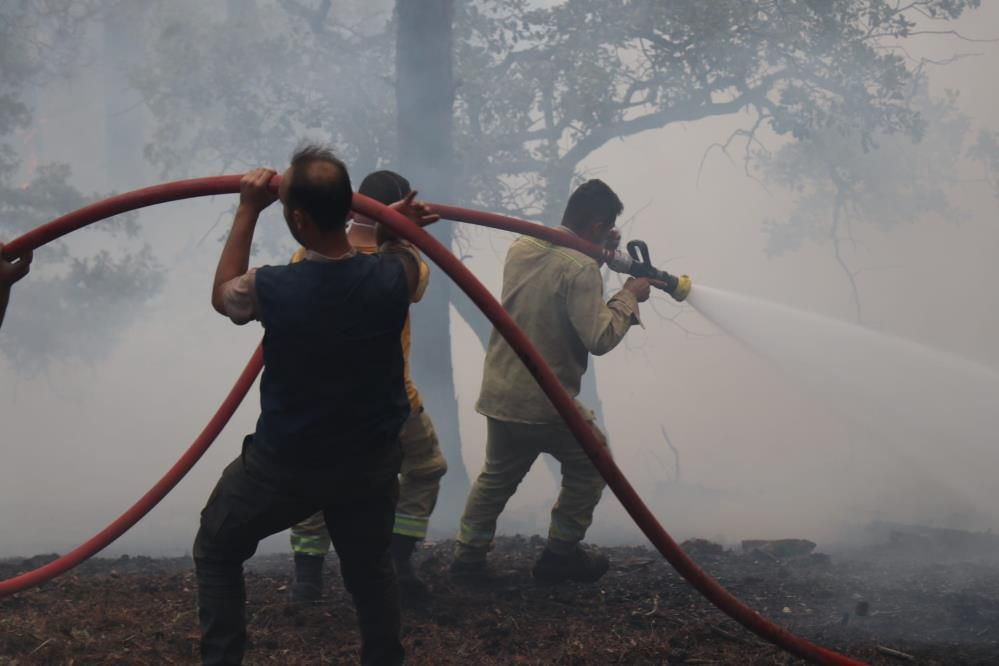 Bolu'da korkutan orman yangını! Yıldırım düşmüştü, saatlerdir alev alev yanıyor! 15 hektarlık alan küle döndü...