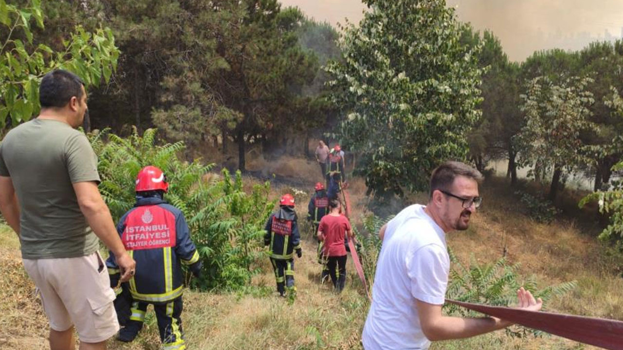 İstanbul'da orman yangını çıktı! Çok sayıda ekip bölgeye gönderildi