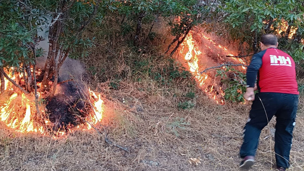 Tarım ve Orman Bakanı Yumaklı'dan orman yangını açıklaması! Yangınların sebebi ne?