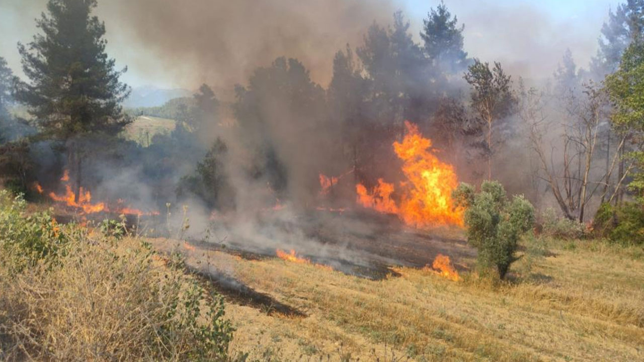 Burdur'da çıkan orman yangınında 3 dekarlık alan yandı!