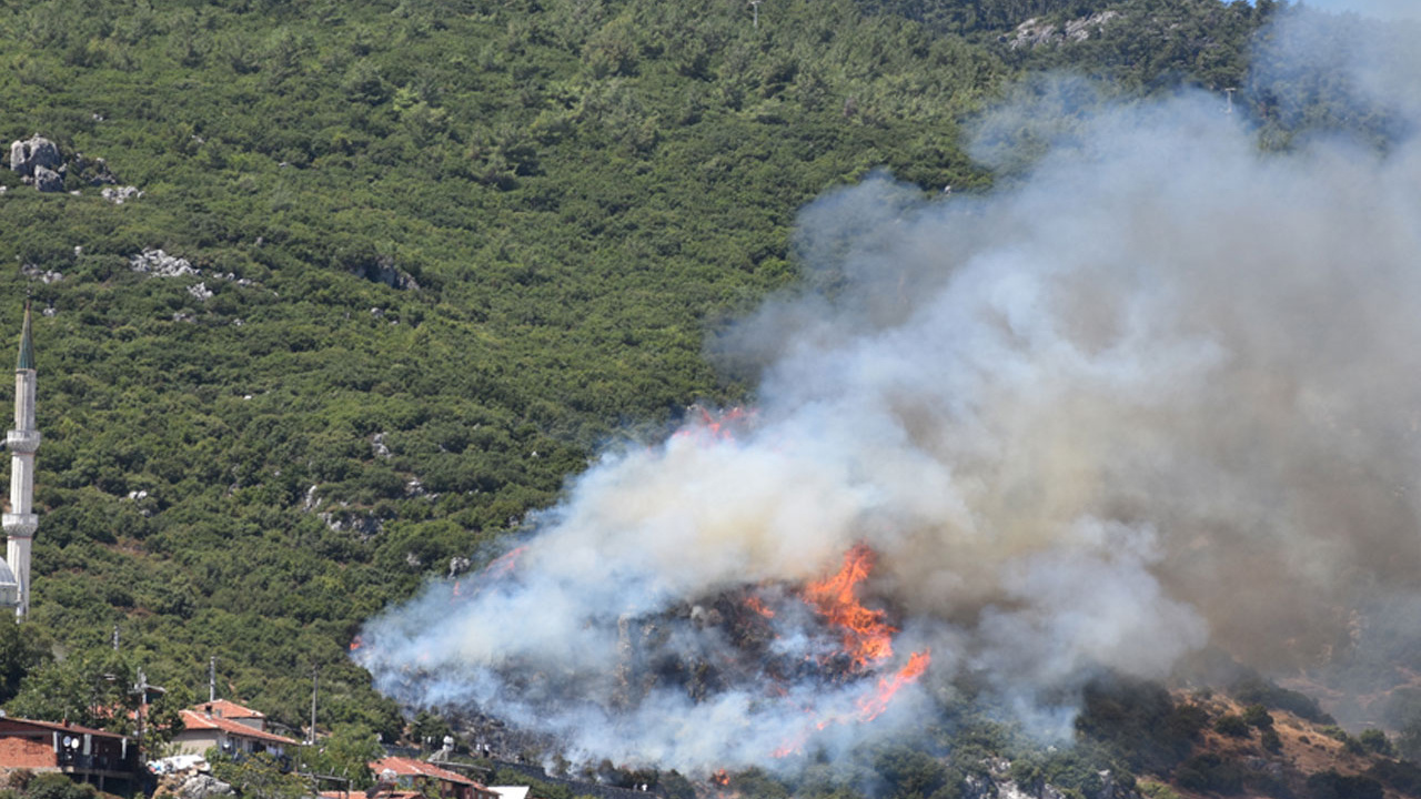İzmir'in iki ilçesinde orman yangını çıktı! Alevler rüzgarın etkisi ile büyüdü